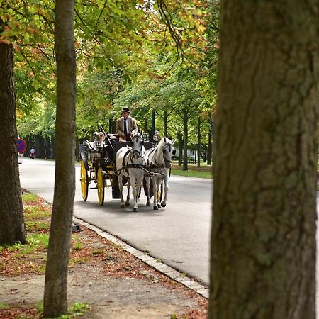 Herzlich Willkommen - Kuess Die Hand Wien Exteriör bild